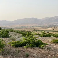 زمین-کشاورزی-بن-رود-خان-زنیان