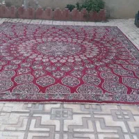 فرش ماشینی ۱۲ متری|فرش|میانه, |دیوار
