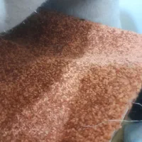 موکت پرز بلند