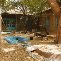 نیازمند نیرو کار