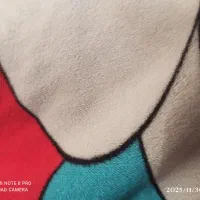 کسانی که اتاق سقف سبک زدندراهنمایی کنند