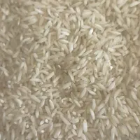 ۲۱۰ کیلو برنج فجر درجه یک|خوردنی و آشامیدنی|تالش, هشتپر|دیوار