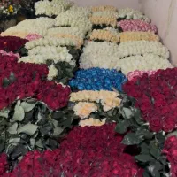 پخش گل و وسایل گل ارایی