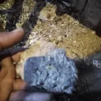 فضل مرغ واکفتر