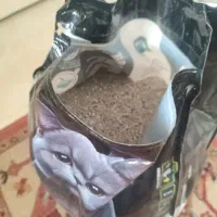 خاک‌گربه