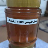 عسل طبیعی کندودار ۱۰۰٪ خالص امکان ارسال درب منزل|خوردنی و آشامیدنی|قم, چهل درخت‎|دیوار
