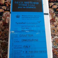 بذر چغندر قند قیمت توافقی