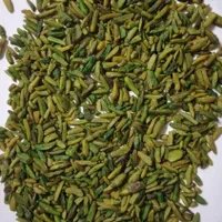 خلال پسته|خوردنی و آشامیدنی|تهران, خاوران|دیوار