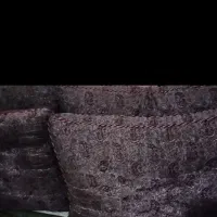 دو جفت پشتی