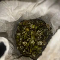 فروش پوست سبز گردو