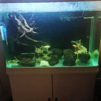 آکواریم ماهیران ۸۰ سانتی