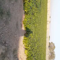 ۴۰۰۰ متر زمین چهار دیواری شده