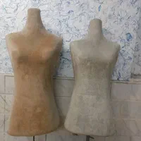 قفسه و رگال|کتابخانه، شلف، قفسه‌های دیواری|قم, صفاشهر|دیوار