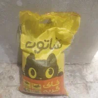 خاک گربه شاتوت