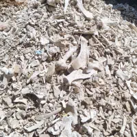 پودر استخوان