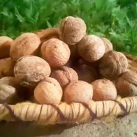 محصولات خشکبار درجه یک خوانسار|خوردنی و آشامیدنی|تهران, دولاب|دیوار