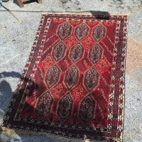 قالی  دستبافت|فرش|رفسنجان, |دیوار