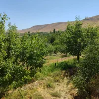 فروش باغ ویلایی دراسکو