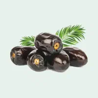 خرید خرما درجه یک سبدی کیلوی ۱۳۰ تا ۱۵۰