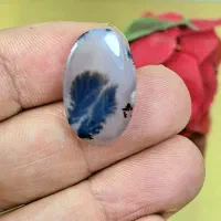 شجر های خاص|جواهرات|میاندوآب, |دیوار