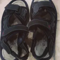 صندل اکو