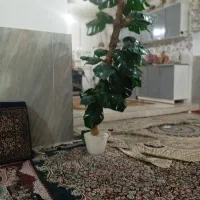 درخت تزیینی|گل مصنوعی|نهاوند, |دیوار