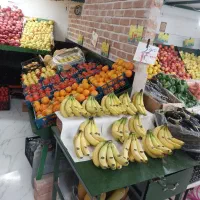 مغازه فعال  میوه  با سابقه کاری|اجارهٔ مغازه و غرفه|ری, جوانمرد قصاب|دیوار