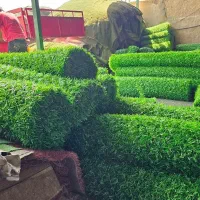 فنس برگی. فنس چمنی|مصالح و تجهیزات ساختمان|شیراز, دوکوهک|دیوار