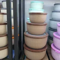 ظروف پلاستیکی ماکروفری و فیریزری