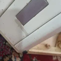 هود بیمکث|هود|شاهدشهر, |دیوار