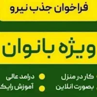 برای خانمهای خانه دار که میخوان مستقل باشن