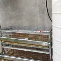 قفس جوجه و بلدرچین|لوازم جانبی حیوانات|چمستان, |دیوار