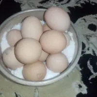 لاری تخمم