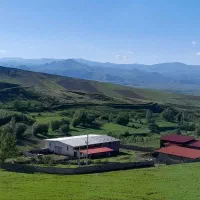 فروش ۶۵۰۰ متری|فروش دفتر صنعتی، کشاورزی، تجاری|مشگین شهر, |دیوار