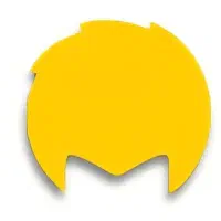 کارشناس سخت افزار خانم