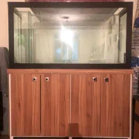 اکواریوم|ماهی|همدان, |دیوار