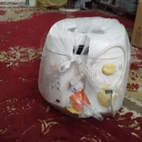 سرخ کن با روغن