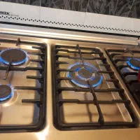 فرگاز تک جوجه سینجر