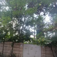 فروش کلنگی 1000 متر زعفرانیه