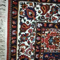 قالی دست بافت|فرش|شهرکرد, |دیوار