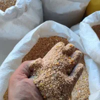 عنوان انواع دون مرغ خروس دان تخم گذار طیور
