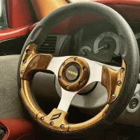 فرمان اسپرت مومو