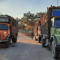 چوب زغالی خشک