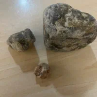 سنگ شجر عقیق اصل