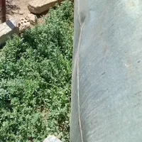 تانکر|مصالح و تجهیزات ساختمان|کرانی, |دیوار