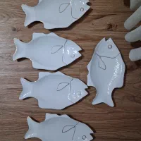 ۵ عدد دیس ماهی دور طلایی مقصود