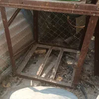 قفس یا جفت کن