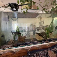 فروش آکواریوم بزرگ