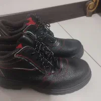 کفش کار|کیف، کفش، کمربند|شهرکرد, |دیوار