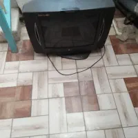 تلوزیون